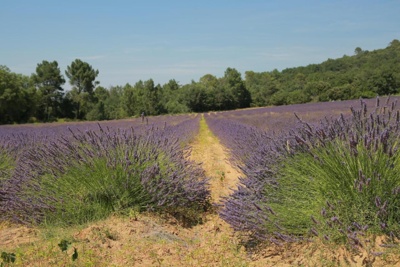 Les Yourtes De Provence Bed and Breakfast Saint-Paulet-de-Caisson Esterno foto